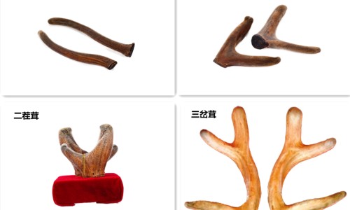 高脂肪食物会导致肥胖吗-高脂肪食物会导致什么疾病专区_脂肪高的食品容易胖吗知乎专区_脂肪高的食品容易胖吗网