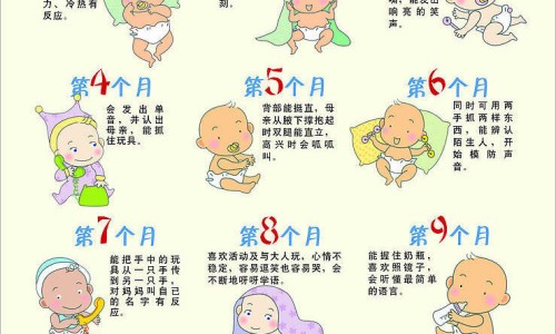 脂肪高的食品有哪些?-高脂肪食物会导致什么疾病专区_脂肪高的食品容易胖吗知乎专区_脂肪高的食品容易胖吗网
